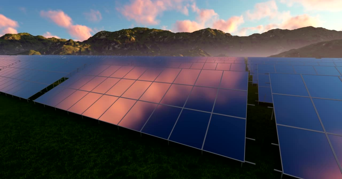 | zeigo sustainability software