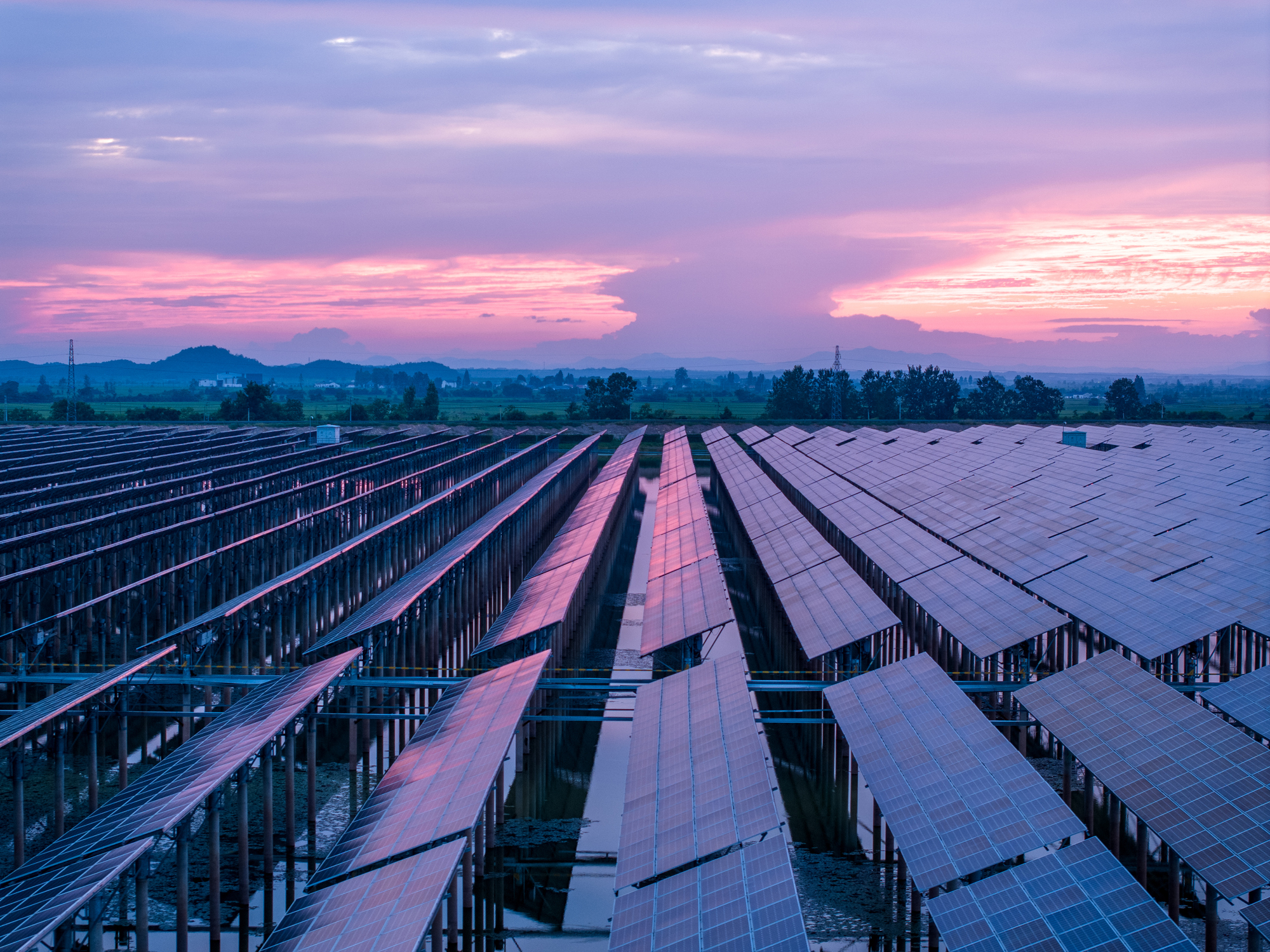 Solar panels on a field