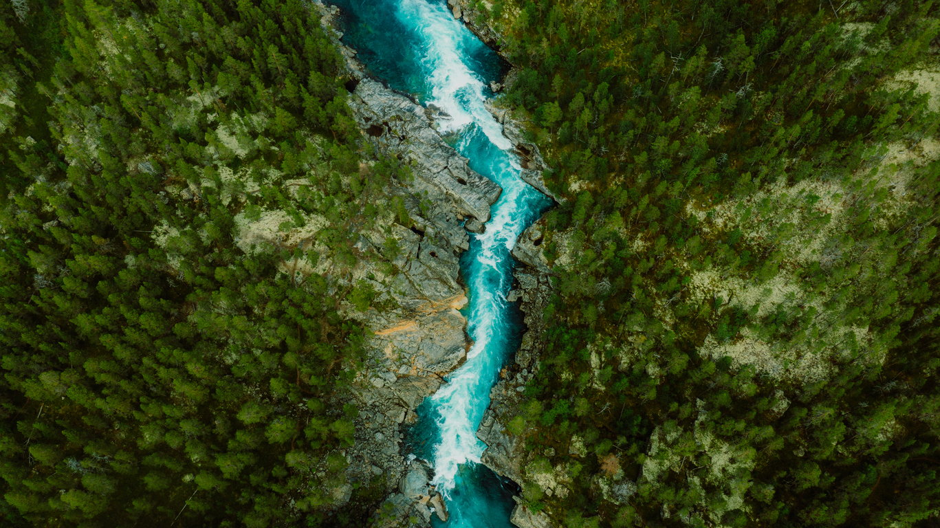 Empowering Decarbonization Initiatives with DIG's Latest Feature | Zeigo Sustainability Software | zeigo sustainability software