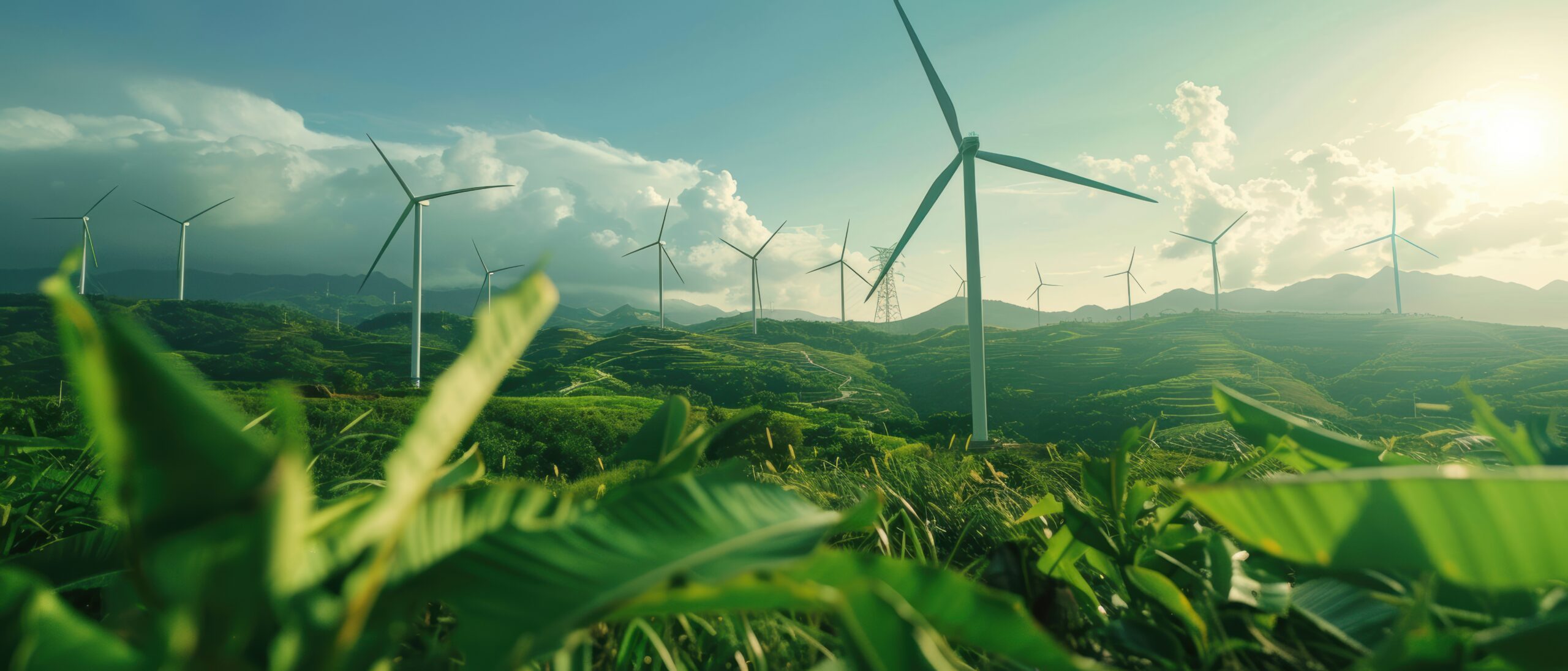 | zeigo sustainability software